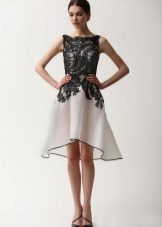 Robes de soirée du Naeem Khan short