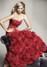 Robe pourpre