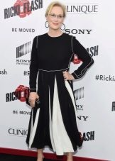 Tsvetotip Hiver - Meryl Streep