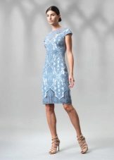 Blue Lace Dress Case