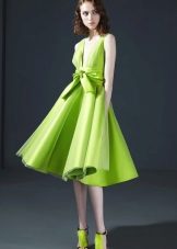 Robe Salatneva