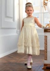 Robe élégante pour la fille pleine de la silhouette