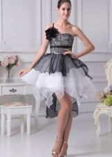 robe en tutu d'organza