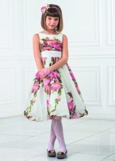 Robe de couleur pour la classe de bal 4