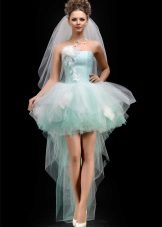 Jupe un paquet de tulle avec un train