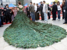 Robe de mariée en plumes de paon