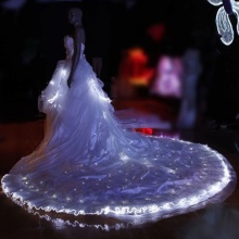 Robe de mariée rétro-éclairée chic