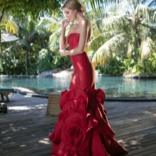 Robe de printemps sirène de Tariq Edis