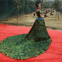 Robe en plumes de paon