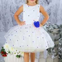 Robe élégante pour la fille de 4-5 ans magnifique