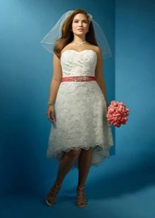 Robe de mariée courte devant, dos long pour les mariées