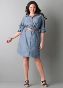 Chemise habillée pour la graisse