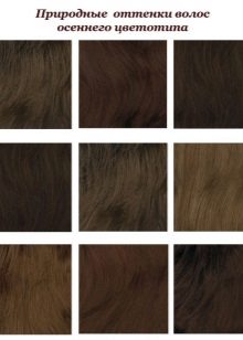 Nuances de cheveux type de couleur d'automne
