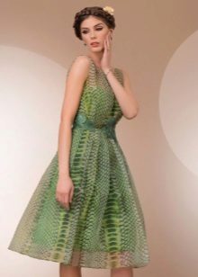 Robe Tatyanka avec un imprimé reptile