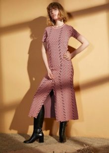 Couleur de la robe d'hiver