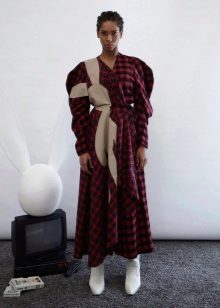 Bottes à la robe dans la cage
