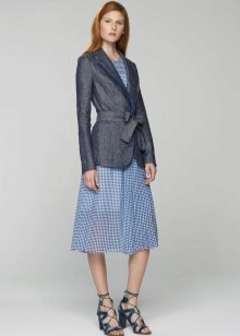 Veste grise pour habiller une cage
