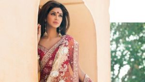 Sari - robe de déesses hindoues et de simples femmes indiennes