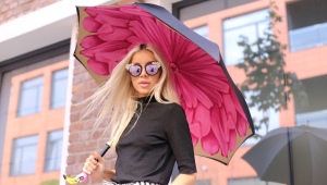 Parapluies Pasotti