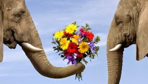 Ethique et étiquette: la relation des concepts