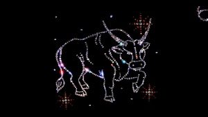 Union Taurus with Taurus: harmonisten suhteiden salaisuudet