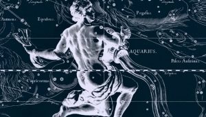 Férfi Aquarius-Rooster: személyiség leírás és kölcsönhatás