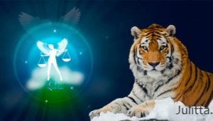 Libra-Tigre Macho: característica e compatibilidade