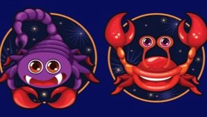 Scorpion et Cancer: une caractéristique de l'union des signes de l'eau et des problèmes possibles dans les relations