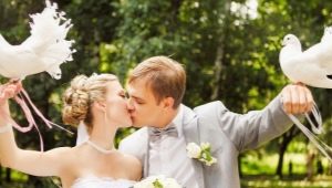 Pigeons au mariage - tout sur les caractéristiques de la tradition