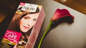 Minden a Palette hajszínről