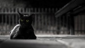 Qu'est-ce que la couleur noire signifie?