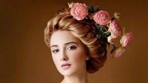 Coiffures dans le style du XIXème siècle: idées et astuces sur le design