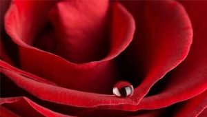 Qu'est-ce que la couleur rouge signifie?