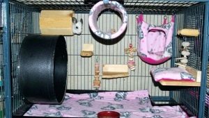 Játékok a chinchillák számára: követelmények, tippek a kiválasztáshoz és a gyártáshoz