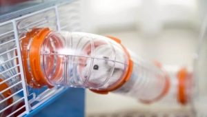 Labirintusok és alagutak hörcsögök számára: jellemzők, típusok, termelés