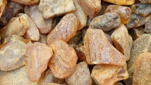 Comment se forme l'ambre dans la nature?