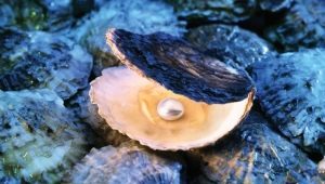 Comment distinguer les perles réelles des perles artificielles?