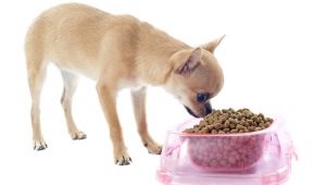 Chihuahua Food: Valmistajan luokitus- ja valintaominaisuudet