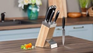 Supports pour couteaux: types et règles de choix
