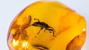 Combien coûte l'ambre?