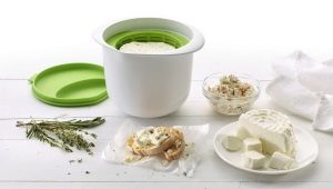 Formes de fromage: types, conseils pour choisir et utiliser