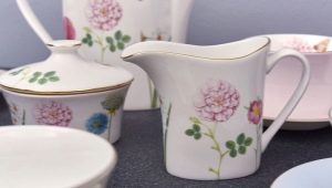 Osso porcelana: o que é e qual é a marca famosa?
