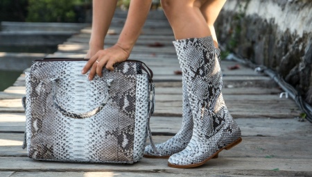 Bottes en python