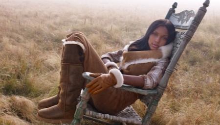 Uggs élevé
