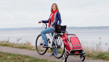 Sac à provisions sur roues