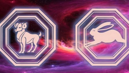 Ominaisuudet miehet Rabbit-Aries
