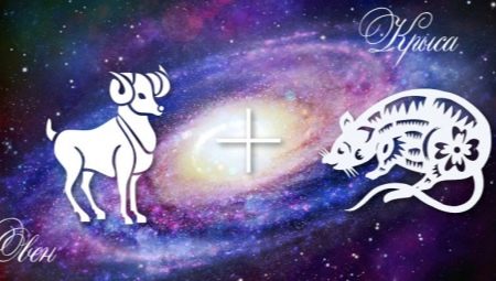 Miesten ominaisuudet Aries-Rat