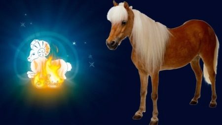 Ciri-ciri lelaki Aries Horse