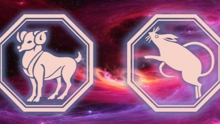Características das mulheres Aries-Rat