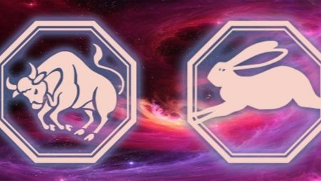 Caractéristiques des femmes Lapin Taureau